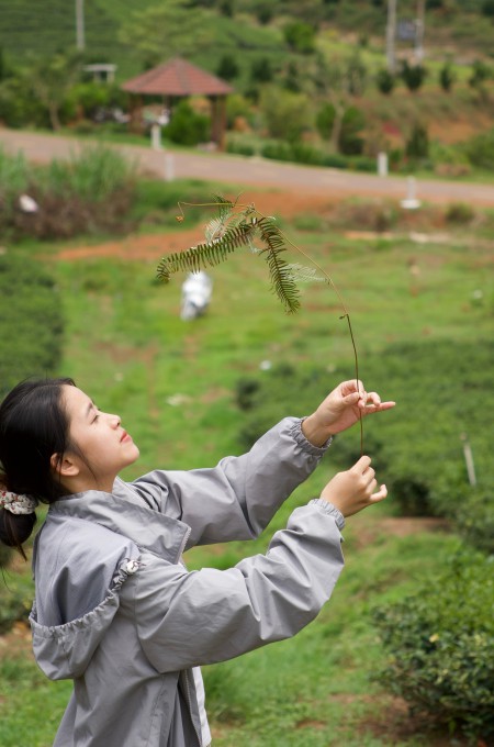 Nguyễn Thị Anh Thư